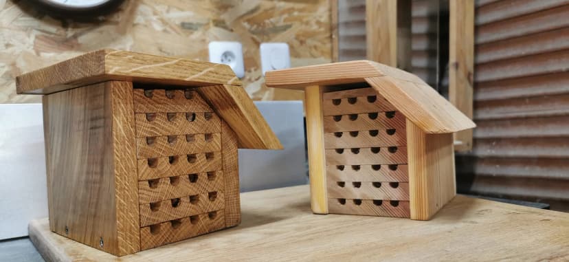 Incubateur à abeilles ou bourdons